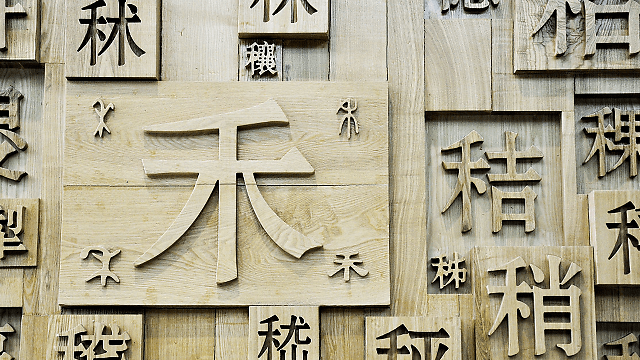 对汉字形和义的每一次探究都是一次与祖先的对话