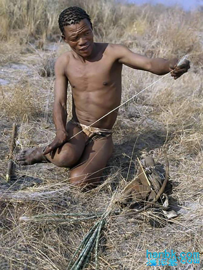 南非土著布须曼人